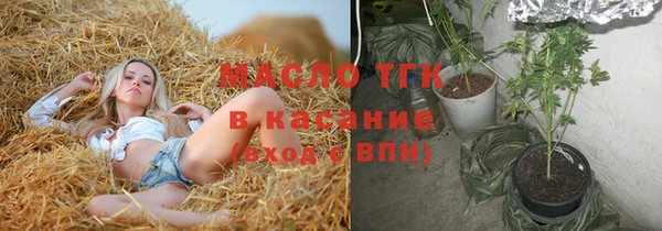 прущие грибы Верхний Тагил
