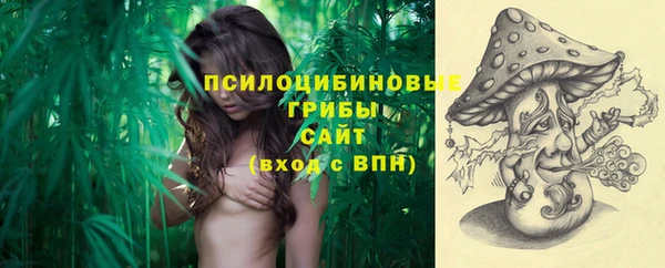 MESCALINE Верея
