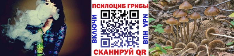 где продают   Люберцы  Псилоцибиновые грибы MAGIC MUSHROOMS 